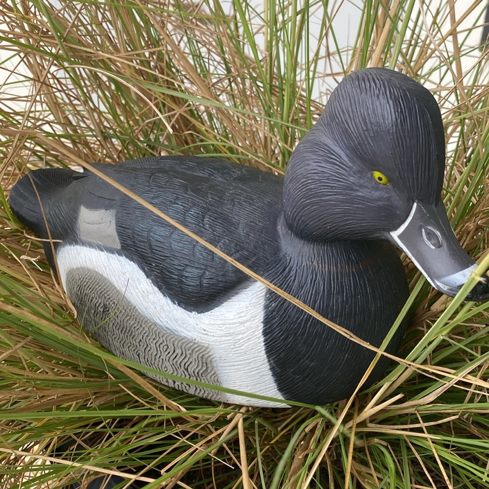 Vintage Life Sized Ring-Necked Duck Drake Decoy. Artist carved & texturized 2003